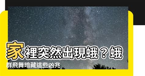 蛾 風水|七月蛾蟲來襲，預示何種凶兆？